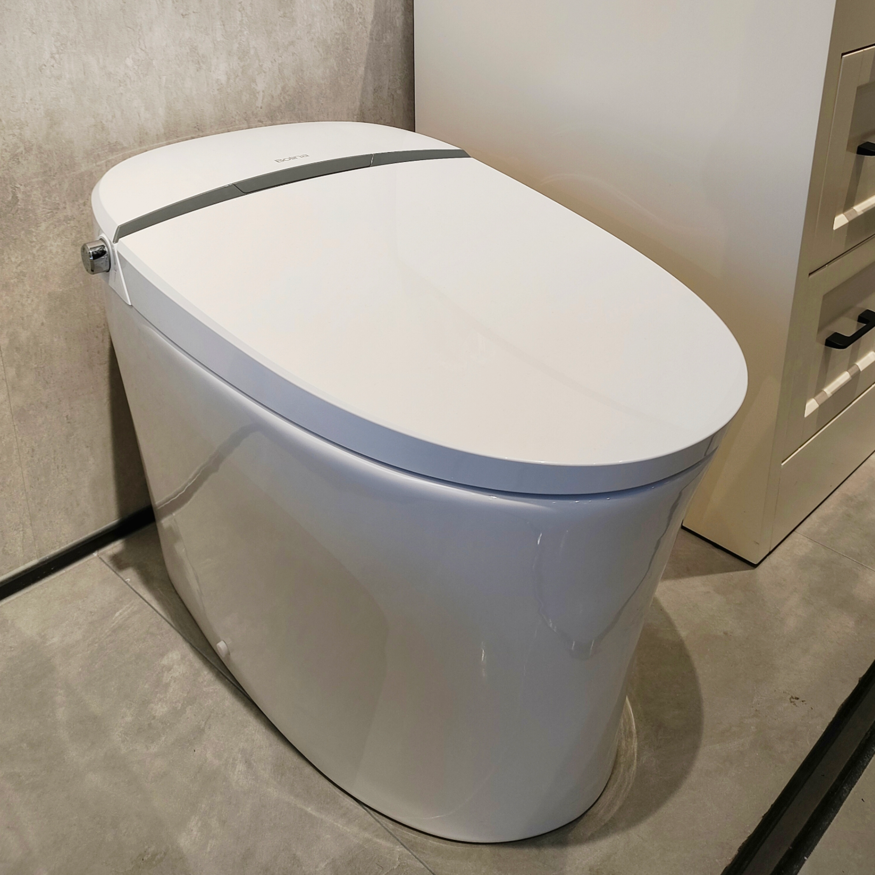 Bolina WZ2801U Smart Toilet, One Piece Toilet with Auto Dual Flush, Massage Washing, Heated Seat, Warm Water and Dry and Soft Closing Seat