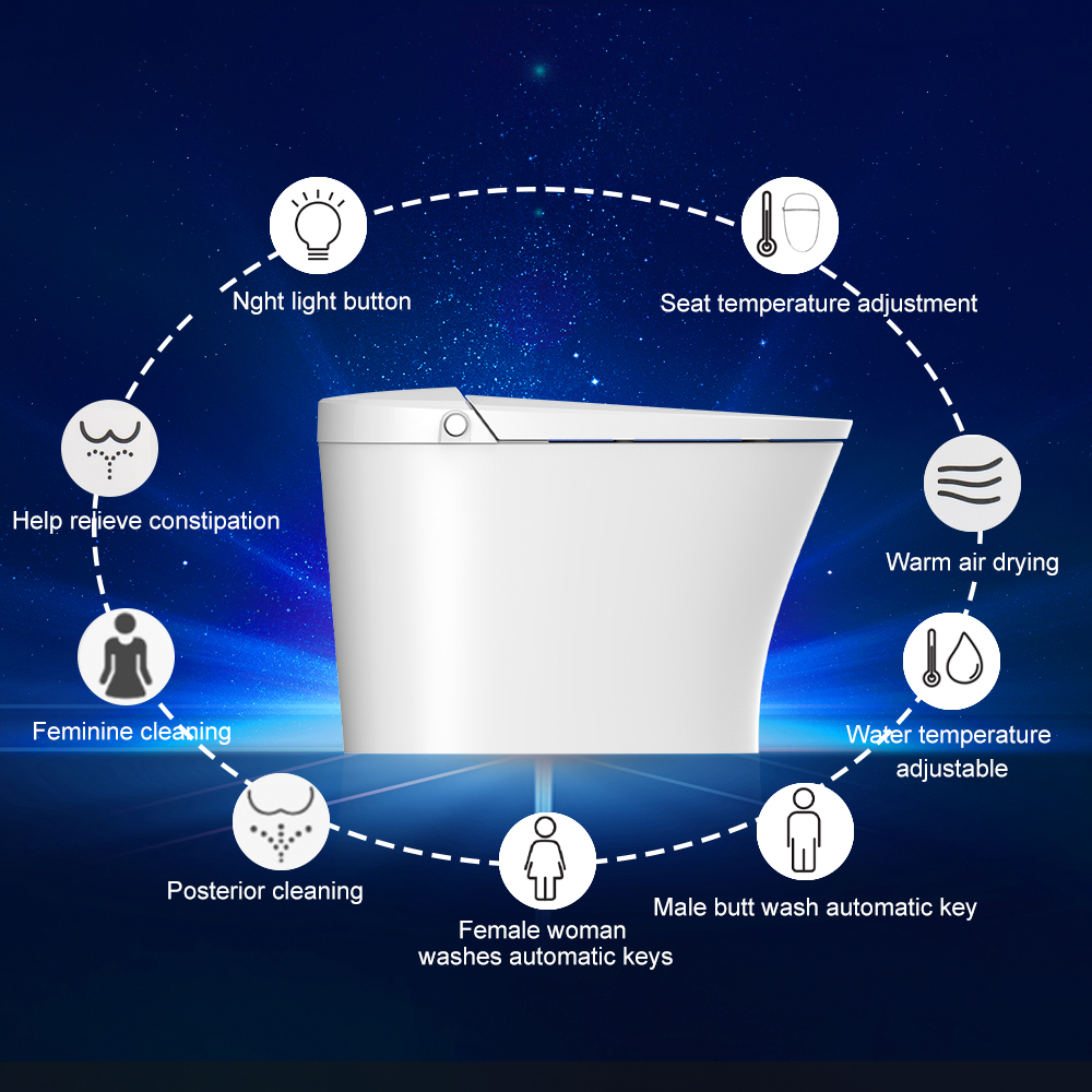 Bolina WZ2801U Smart Toilet, One Piece Toilet with Auto Dual Flush, Massage Washing, Heated Seat, Warm Water and Dry and Soft Closing Seat