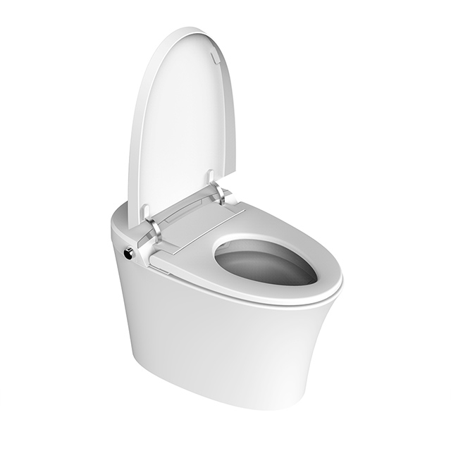 Bolina WZ2801 Intelligent Smart Toilet with Auto Dual Flush Massage Washing Heated Seat Warm Water and Dry and Quiet Closing Seat