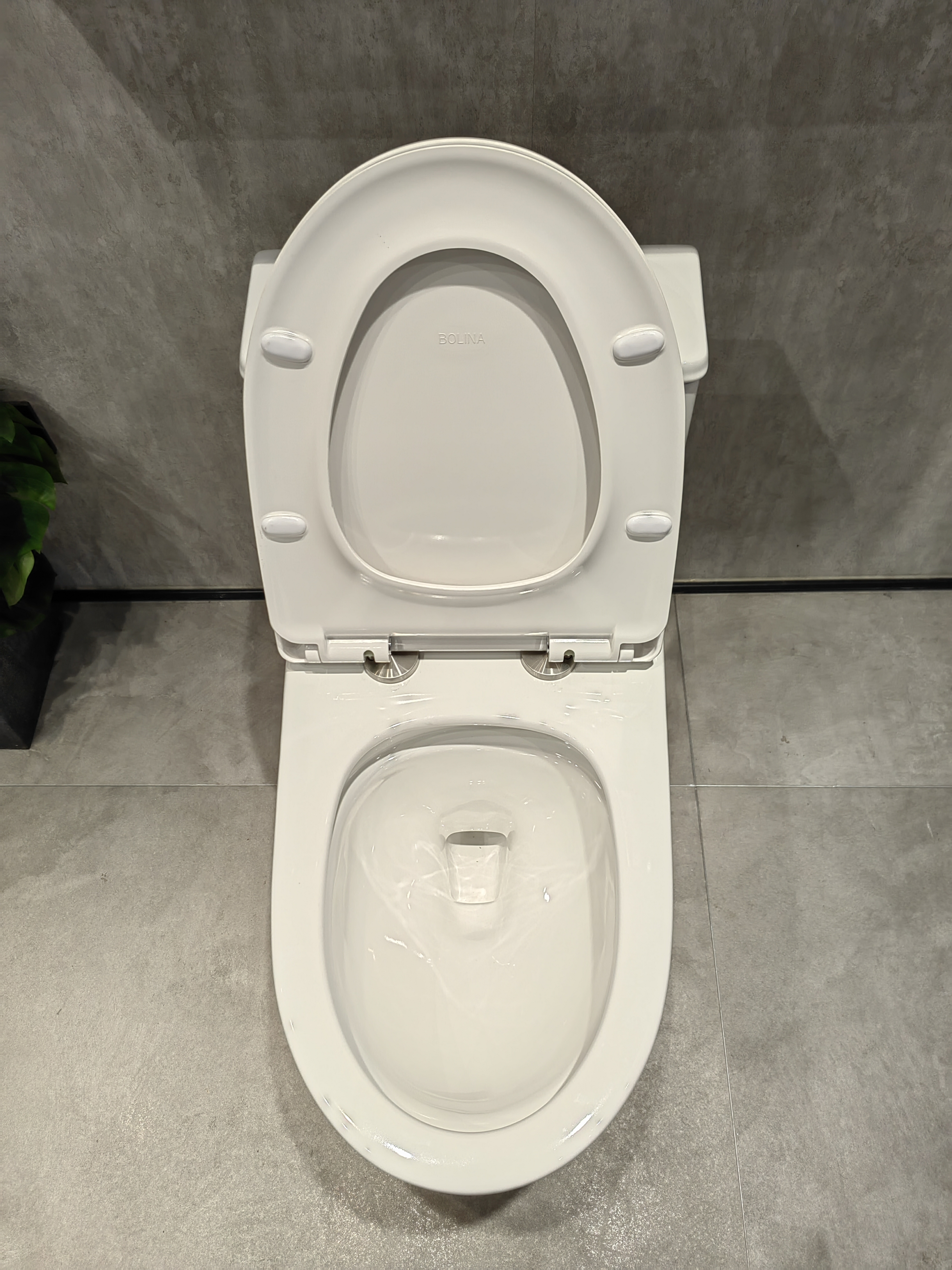 Bolina W2111 One-piece Toilet, Comfortable Seat Height And Dual Flush Standard White Toilet