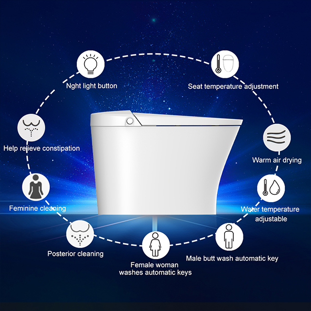 Bolina WZ2801 Intelligent Smart Toilet with Auto Dual Flush Massage Washing Heated Seat Warm Water and Dry and Quiet Closing Seat