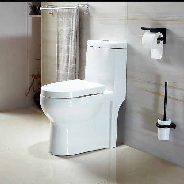 Toilet Installation 10 Steps | Bolina Store